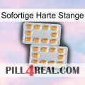 Instant Hard Rod cialis4